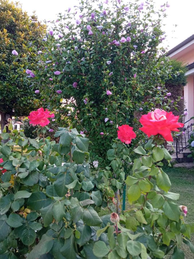 B&B L'Ortensia Vignolo Buitenkant foto